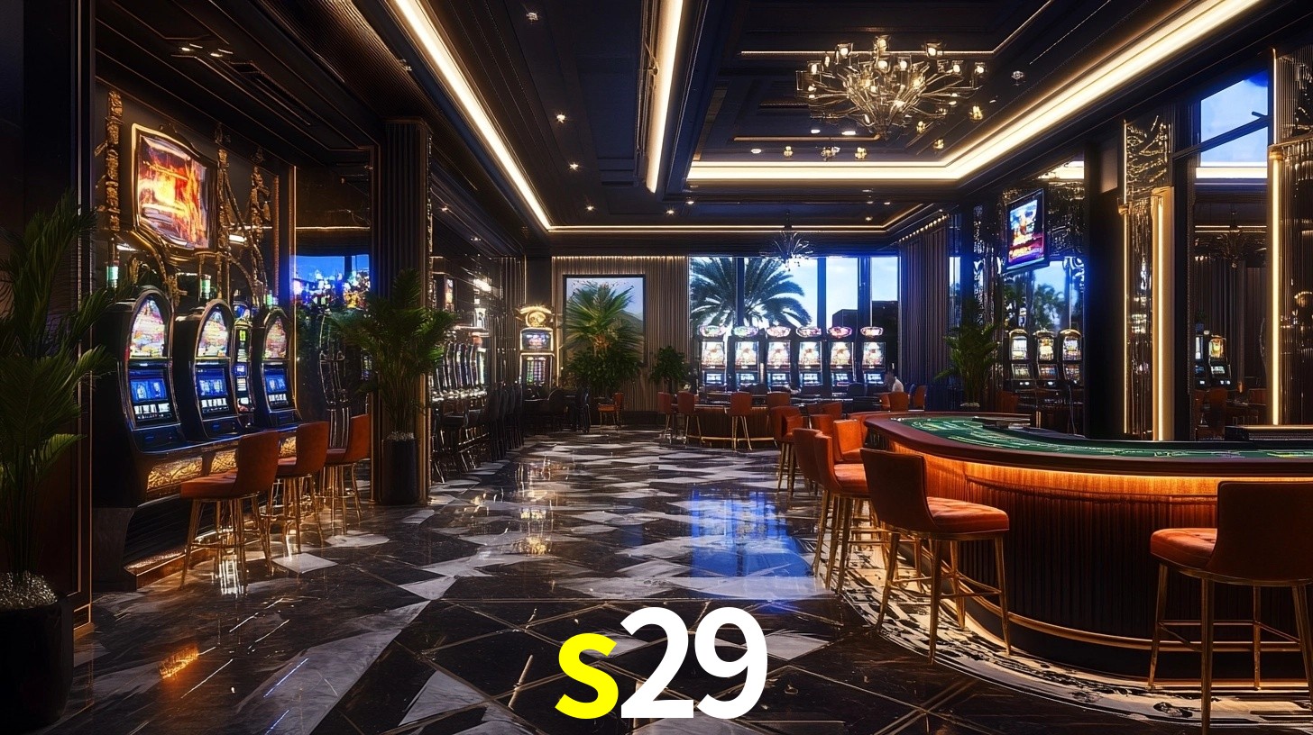 Premium Interface s29